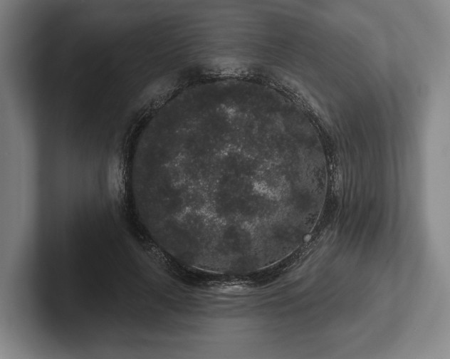 X0000102400643200808081305