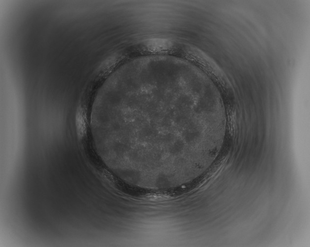 X0000102400644200808081305