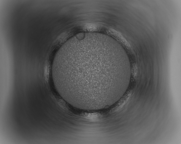 X0000102400645200808081305