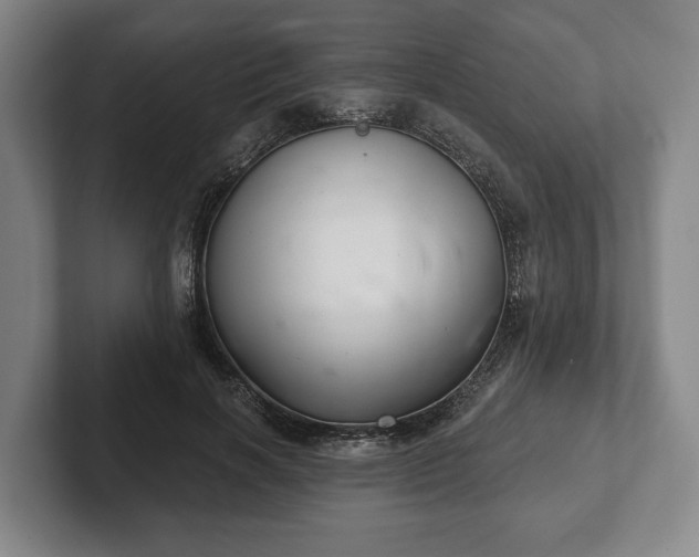 X0000102400646200808081305