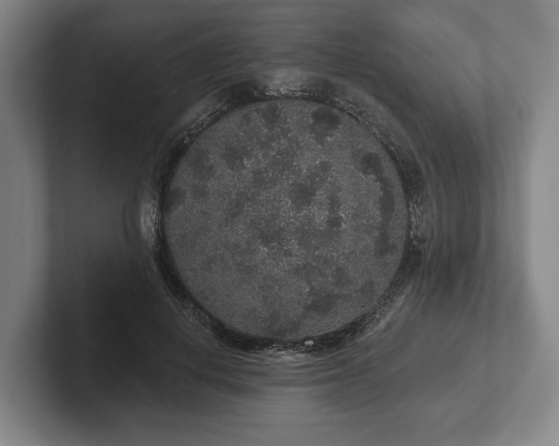 X0000102400648200808081305