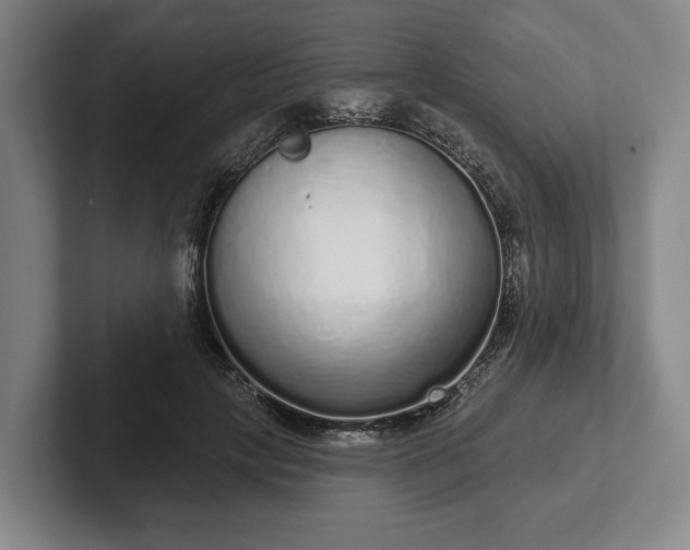 X0000102400649200808081305