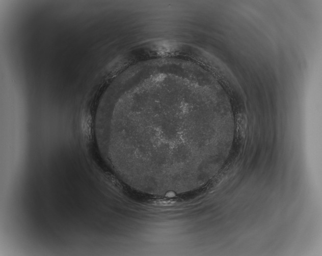 X0000102400650200808081305