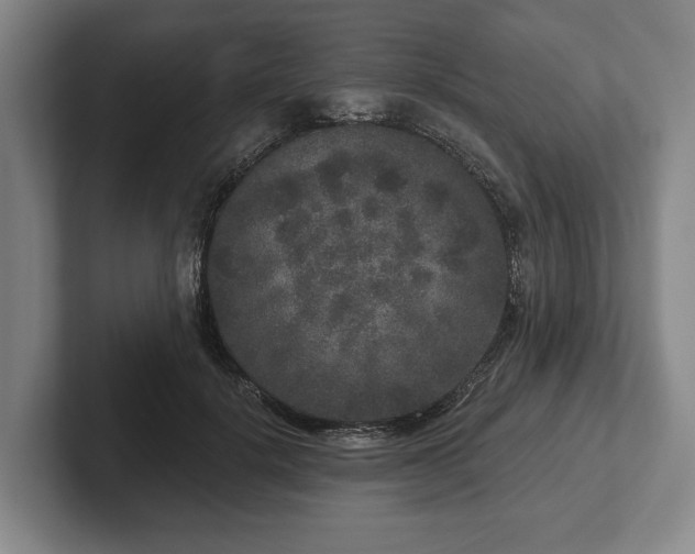 X0000102400652200808081305