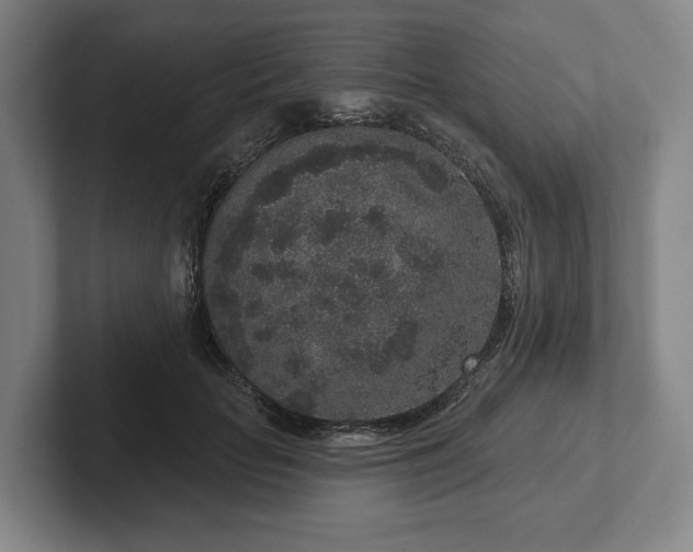 X0000102400653200808081305