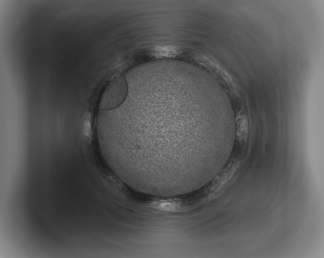 X0000102400655200808081305