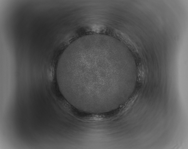 X0000102400656200808081305