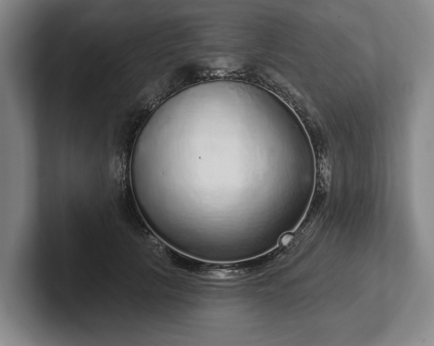 X0000102400657200808081305