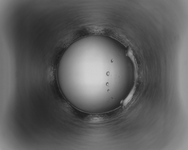 X0000102400658200808081305