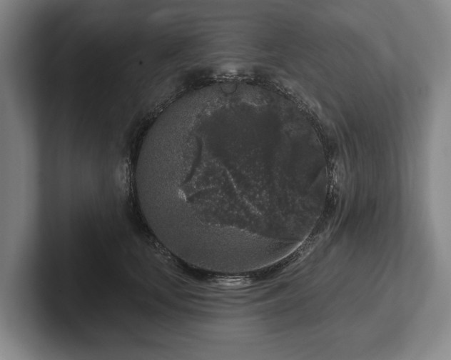 X0000102400659200808081305