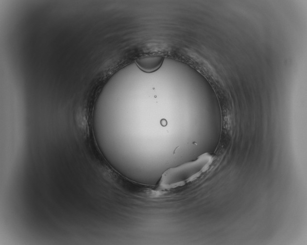 X0000102400662200808081305