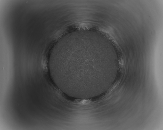 X0000102400663200808081305