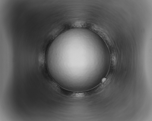 X0000102400665200808081305