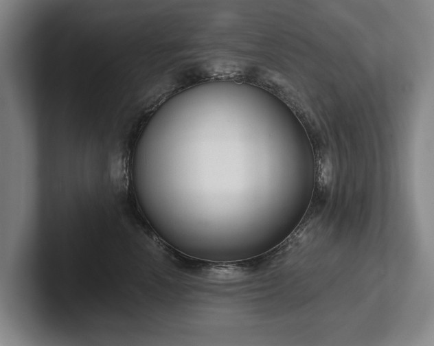 X0000102400666200808081305