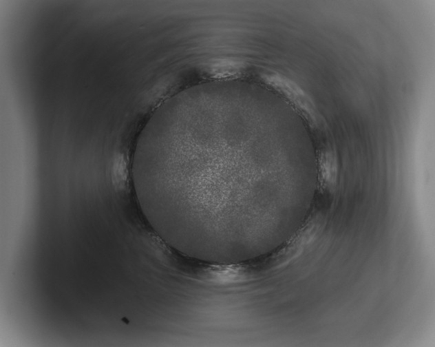 X0000102400667200808081305