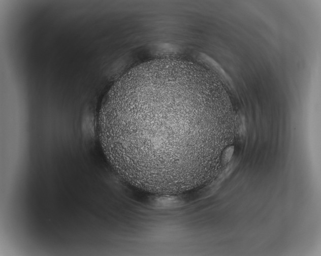 X0000102400669200808081305