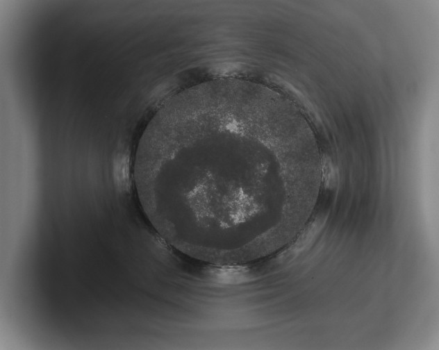 X0000102400670200808081305