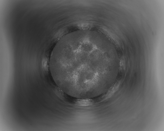 X0000102400671200808081305