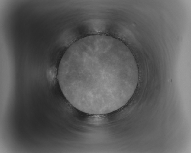 X0000102400672200808081306