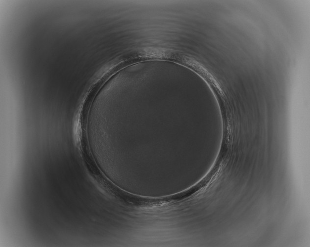 X0000102400674200808081305