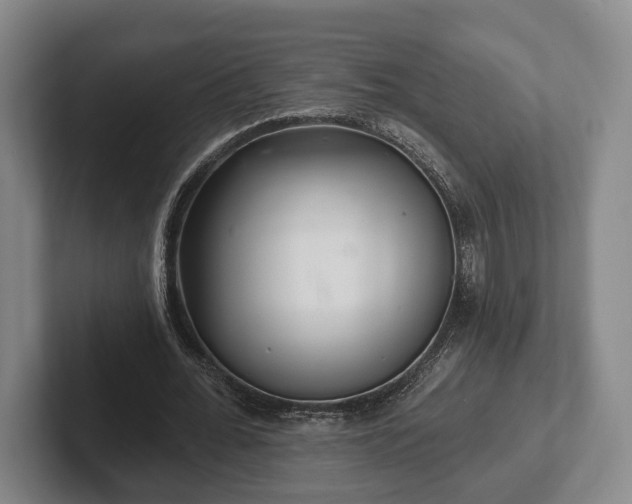 X0000102400676200808081305