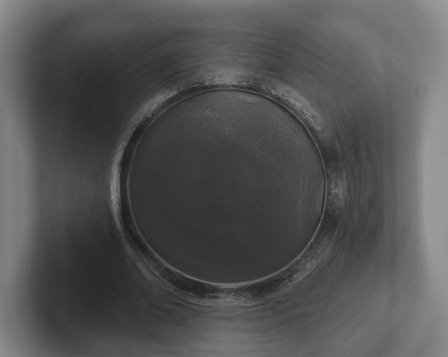 X0000102400678200808081305