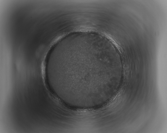 X0000102400679200808081305