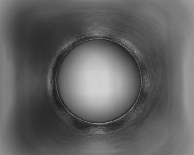 X0000102400680200808081305