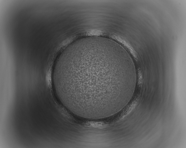 X0000102400681200808081305