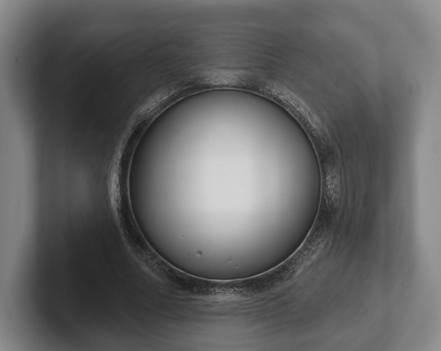 X0000102400682200808081305