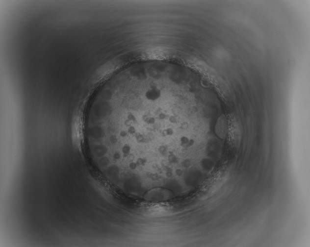 X0000102400683200808081305