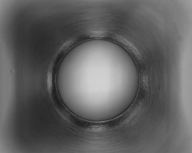 X0000102400686200808081305