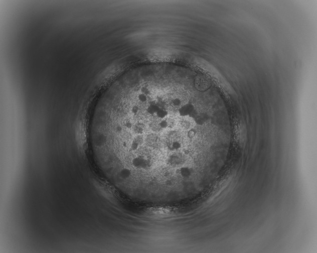 X0000102400687200808081305