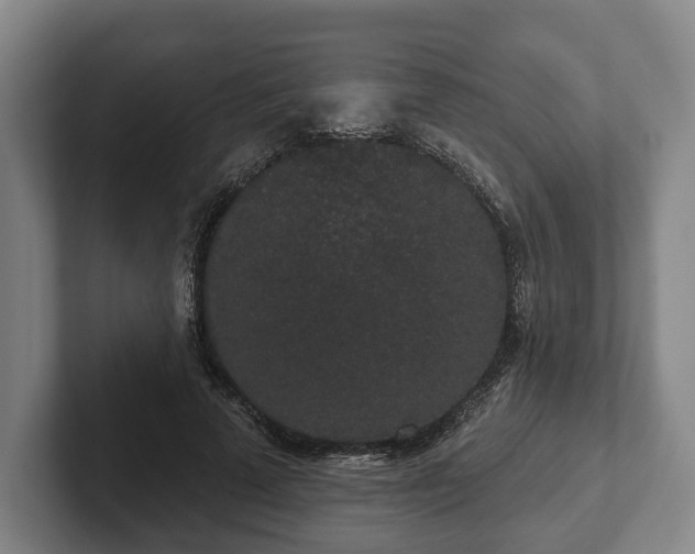 X0000102400689200808081305