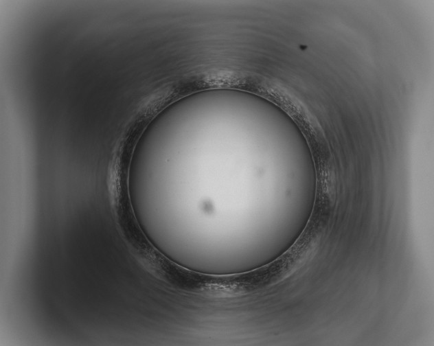 X0000102400690200808081305