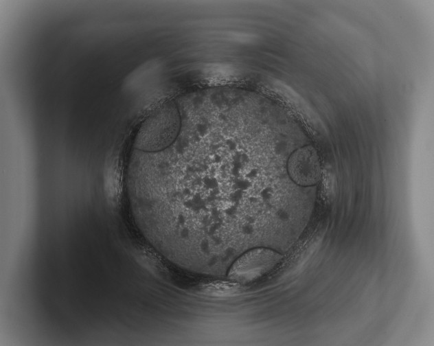 X0000102400691200808081305