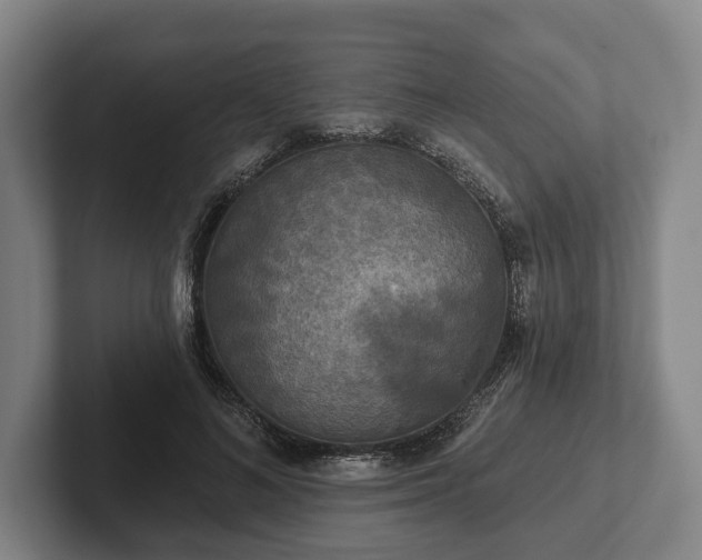 X0000102400692200808081305