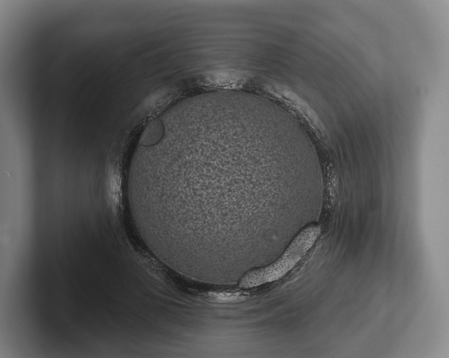 X0000102400693200808081305