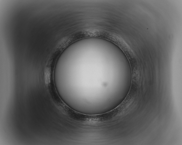 X0000102400694200808081305