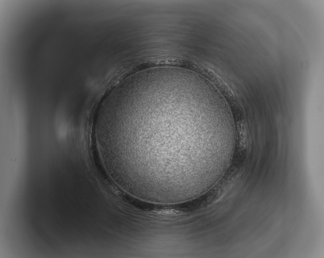 X0000102400695200808081305