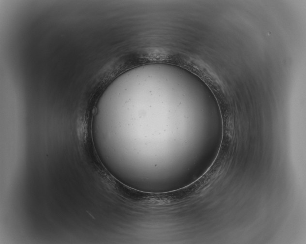 X0000102400697200808081305