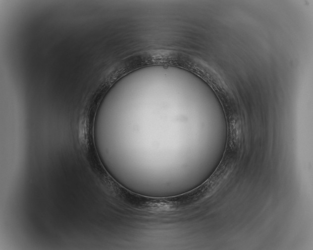 X0000102400698200808081305