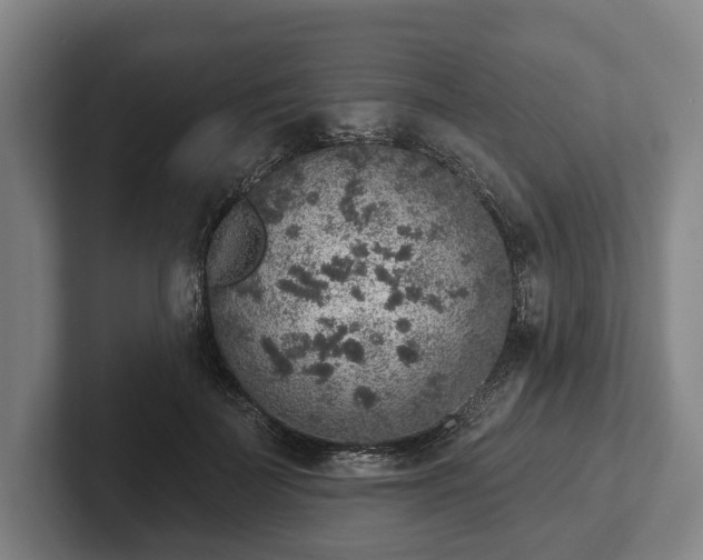 X0000102400699200808081305