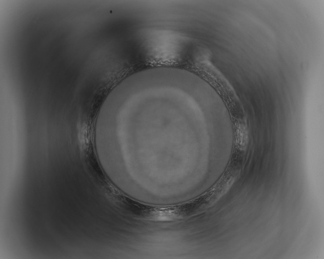 X0000102400701200808081305