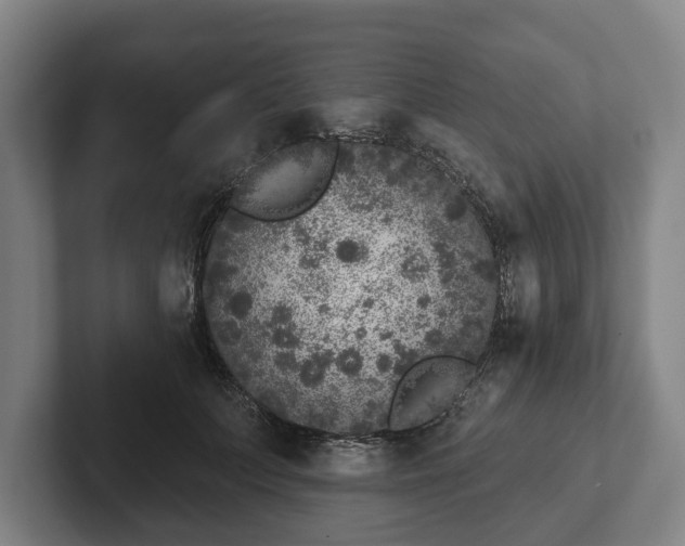 X0000102400703200808081305