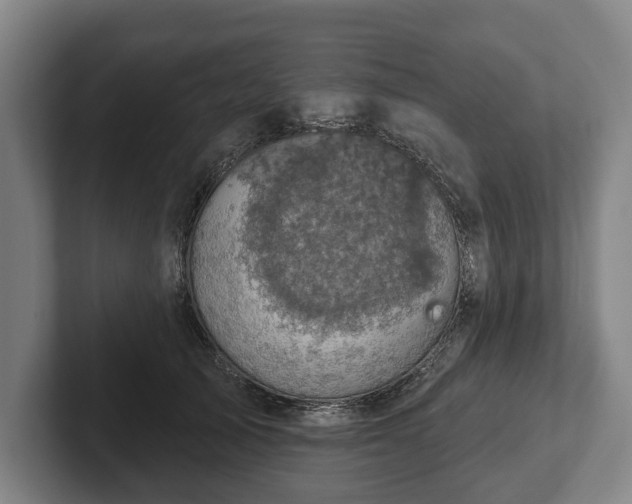 X0000102400705200808081304