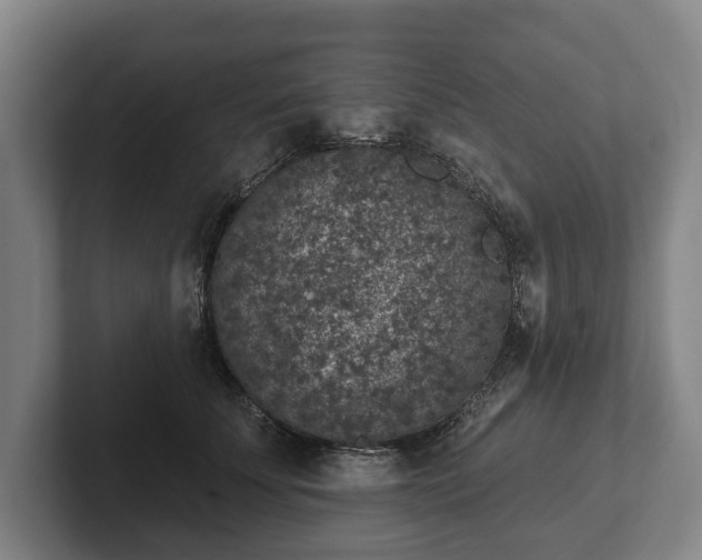 X0000102400707200808081304