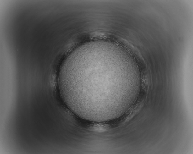 X0000102400708200808081304