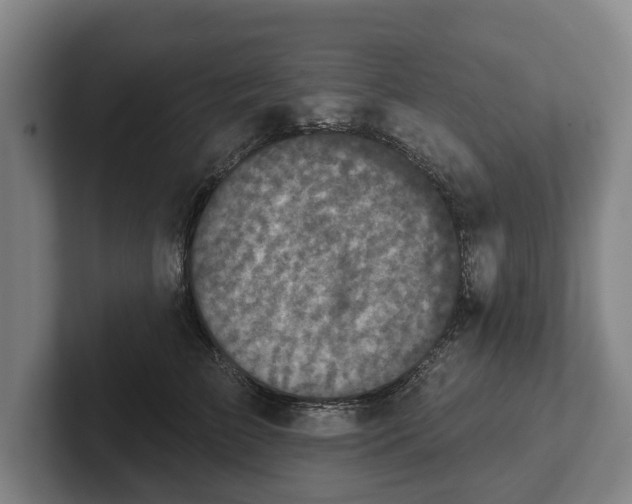 X0000102400709200808081304