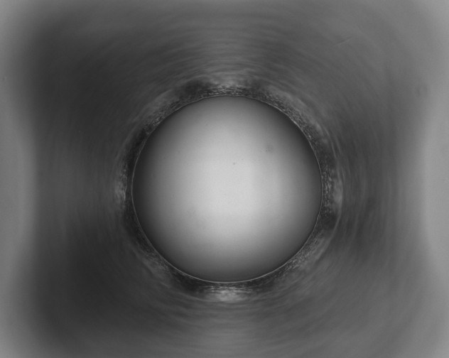 X0000102400710200808081304